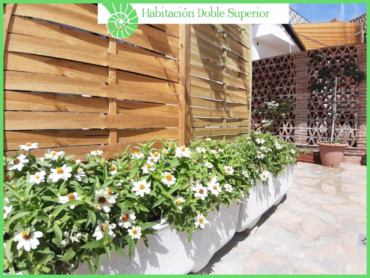 Biznaga Hols (Adults Only) Apartment Benalmadena Luaran gambar